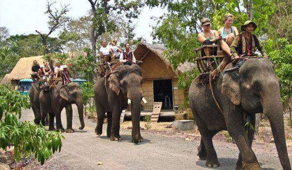 Vietnam Guided Motorbike Tour - Hoi An to Dalat 5 Days 9 9