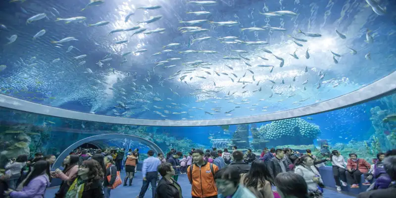 What to Do in Nha Trang? Top 9 Places to Have Fun and Forget the Way Back 13 aquarium institute
