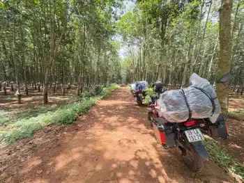 motorbike tour from dalat